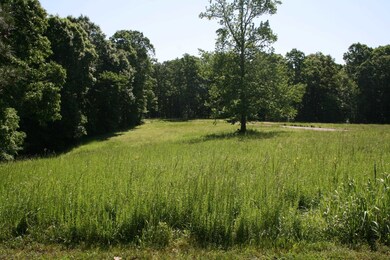 00 Brodies Landing Rd, Parsons, TN 38363 - photo 7