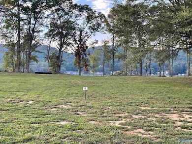 2790 Lake Forest Ct, Southside, AL 35907 - photo 7