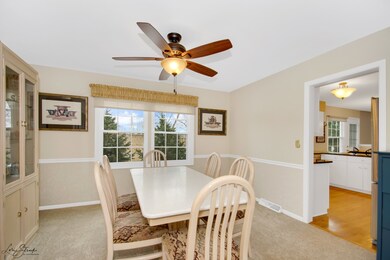 53 Bunting Ln, Naperville, IL 60565 - photo 5