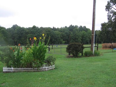 part of the yard