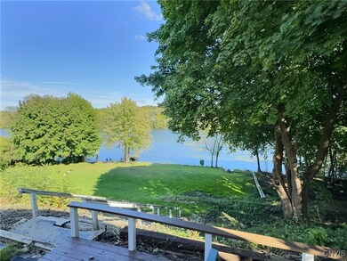 Overlook of the back yard