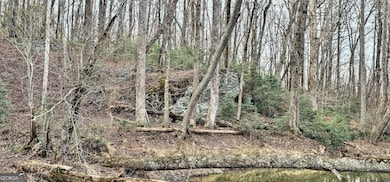 0 Gladston Rd, Mt.Airy, GA 30563 - photo 7