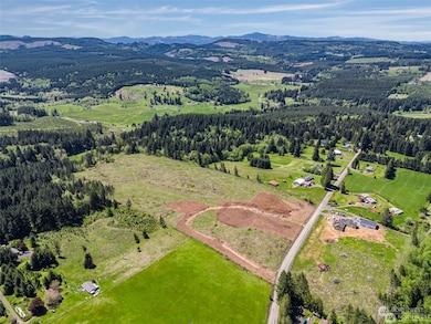 597 Brown Rd E, Adna, WA 98532 - photo 2