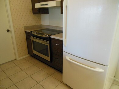 13239 N 110th Ave, Sun City, AZ 85351 - photo 6