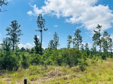 View of tree filled area