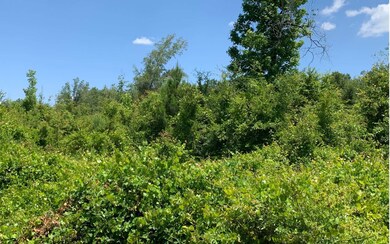 0 Cr-245 unit 111258, Lake City, FL 32061 - photo 4