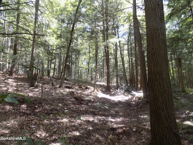 0 Moberg Rd, Becket, MA 01223 - photo 5