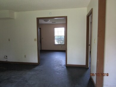 515 Lee Williams Dr NW, Pelham, GA 31779 - photo 4