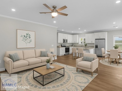 54 Pear St, Ludowici, GA 31316 - photo 5