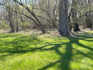 Beautiful sunlit backyard