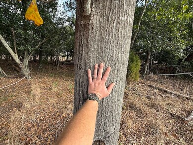 Sc Hwy 39 unit LotWP002, Williston, SC 29853 - photo 5