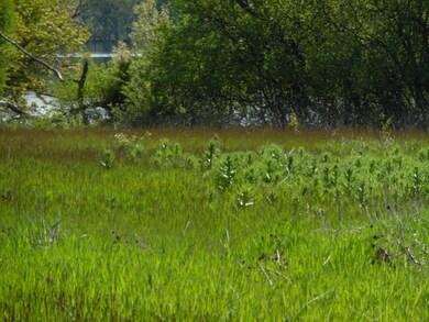 24493 N Woodland Ave, Cary, IL 60013 - photo 3