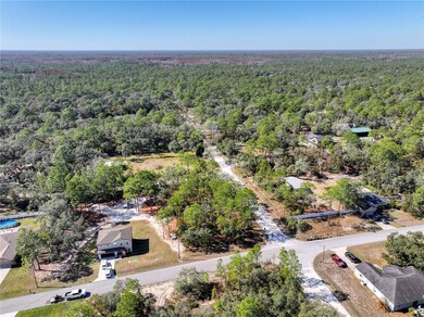 10484 Snowbird Ave, Weeki Wachee, FL 34614 - photo 5