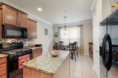 10834 Mustang Oak Dr, San Antonio, TX 78254 - photo 5