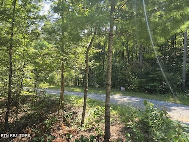 Red Rooster Way Photo use 4