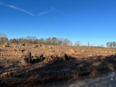 --1 Irving Rd, Batesburg-Leesville, SC 29006 - photo 5