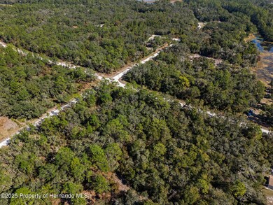 0 Norway St unit 2256792, Webster, FL 33597 - photo 7