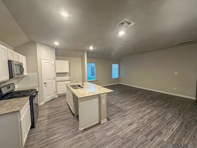 5417 Greenridge Ln, Zachary, LA 70791 - photo 4