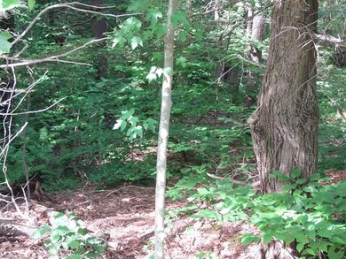 0 Huntoon Hwy unit 71850881, Leicester, MA 01524 - photo 4