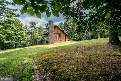 0 Hunkerson Gap Rd unit WVHD2000996, Mathias, WV 26812 - photo 3