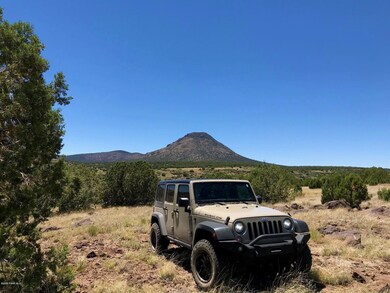 0 Picacho Butte unit 1032224, Ash Fork, AZ 86320 - photo 2