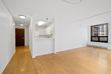 440 N Wabash Ave unit 409, Chicago, IL 60611 - photo 6