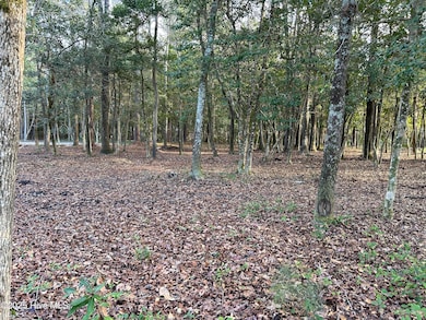 128 Stones Throw Ln, Wilmington, NC 28411 - photo 3