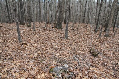 2.87 Acres  Plenty of Level to Build...