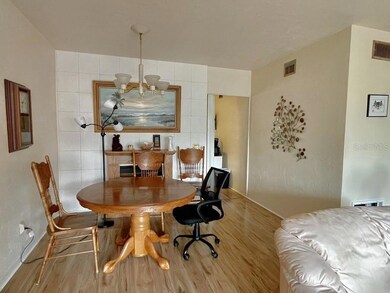 4060 55th St N unit 1209, Kenneth City, FL 33709 - photo 5