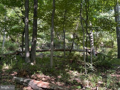 0 English Muffin Way, Berkeley Springs, WV 25411 - photo 6