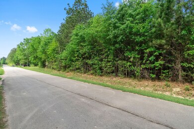 00 Rebel Rd, Cleveland, TX 77327 - photo 4