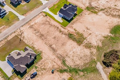 TBDC Alex Dr, Springtown, TX 76082 - photo 6