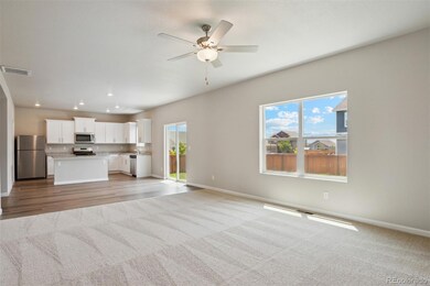 856 Emerald Lakes St, Severance, CO 80550 - photo 5