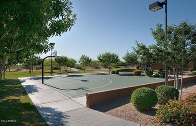 BASKETBALL COURTS