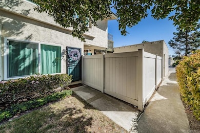 240 Countryhaven Rd, Encinitas, CA 92024 - photo 2