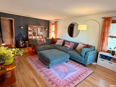 1043 14th Ave S, Clinton, IA 52732 - photo 6