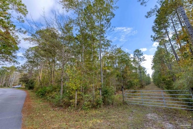 00 Mullet Dr, Freeport, FL 32439 - photo 5