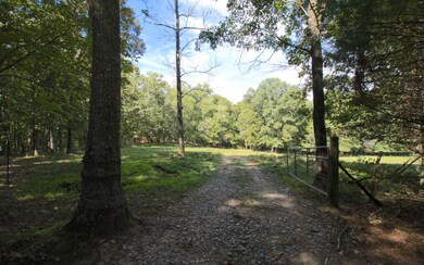 Additional View