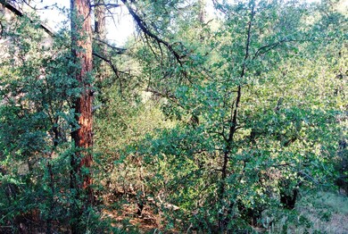 625 Aspen