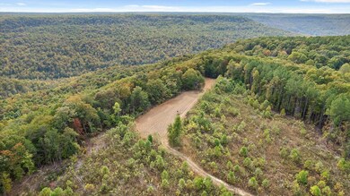 Roberts Road, Spencer, TN 38585