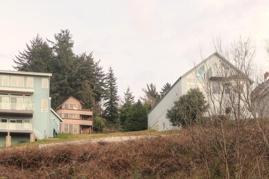 Lot from Bay Blvd