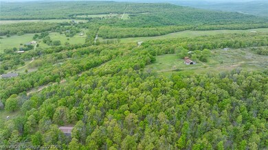 TBD S 4686 Rd, Stoney Point, OK 74955 - photo 6