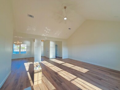 51 Alans Way, Broxton, GA 31519 - photo 5