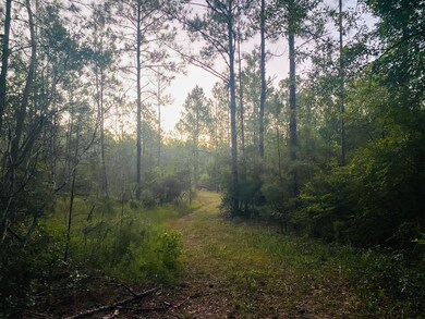 County Road 2- Covington County unit AL, Wing, AL 36483 - photo 4