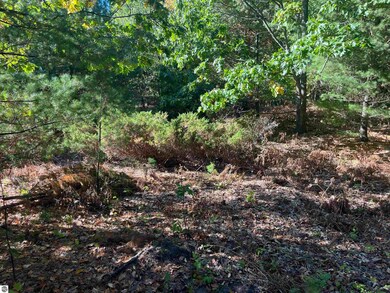 4735 Leaning Birch Dr unit 1, Traverse City, MI 49685 - photo 7