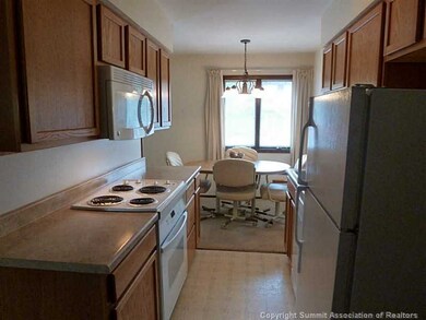 240 La Bonte St unit 4, Dillon, CO 80435 - photo 5