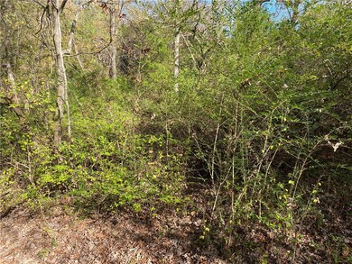 760-19585-000 Sandot Dr, Bull Shoals, AR 72619 - photo 6