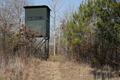 1 Mt Pilgrim Rd, Camden, MS 39045 - photo 3