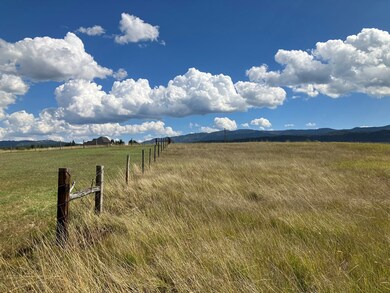Fence Line Between Properties