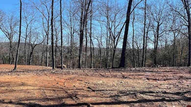 343 Marion County 7002, Flippin, AR 72634 - photo 5